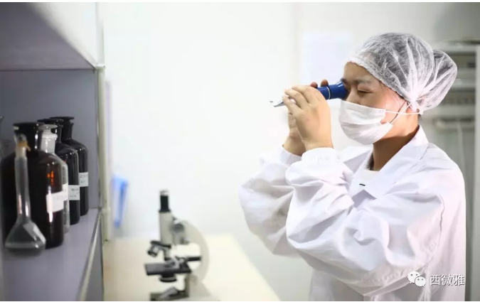 珍貴的果脯-藍(lán)莓干(圖13) 珍貴的果脯-藍(lán)莓干(圖13)