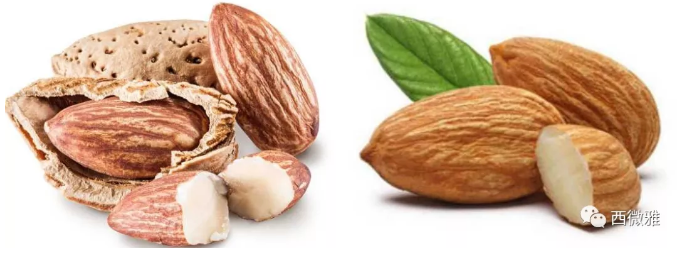 貴族堅果-加州扁桃仁(圖10) 貴族堅果-加州扁桃仁(圖10)