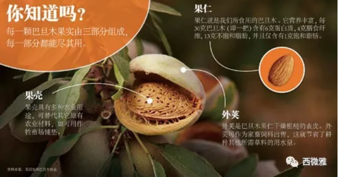 貴族堅果-加州扁桃仁(圖12) 貴族堅果-加州扁桃仁(圖12)