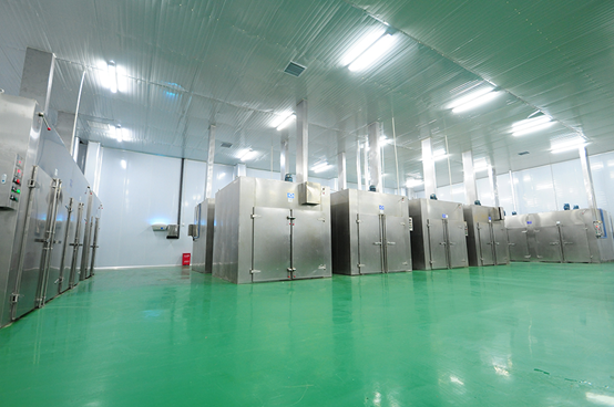 蔓越莓干批發(fā)廠家國內(nèi)如何生產(chǎn)蔓越莓干(圖5) 蔓越莓干批發(fā)廠家國內(nèi)如何生產(chǎn)蔓越莓干(圖5)