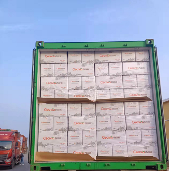 為何松子仁市場批發(fā)價上漲，松子仁的功效與作用(圖3)