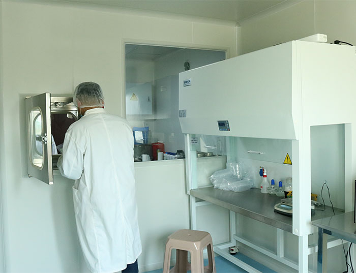 扁桃仁片 扁桃仁片