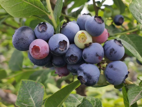 2022年青島西微雅企業(yè)團(tuán)建活動圓滿結(jié)束(圖2) 2022年青島西微雅企業(yè)團(tuán)建活動圓滿結(jié)束(圖2)